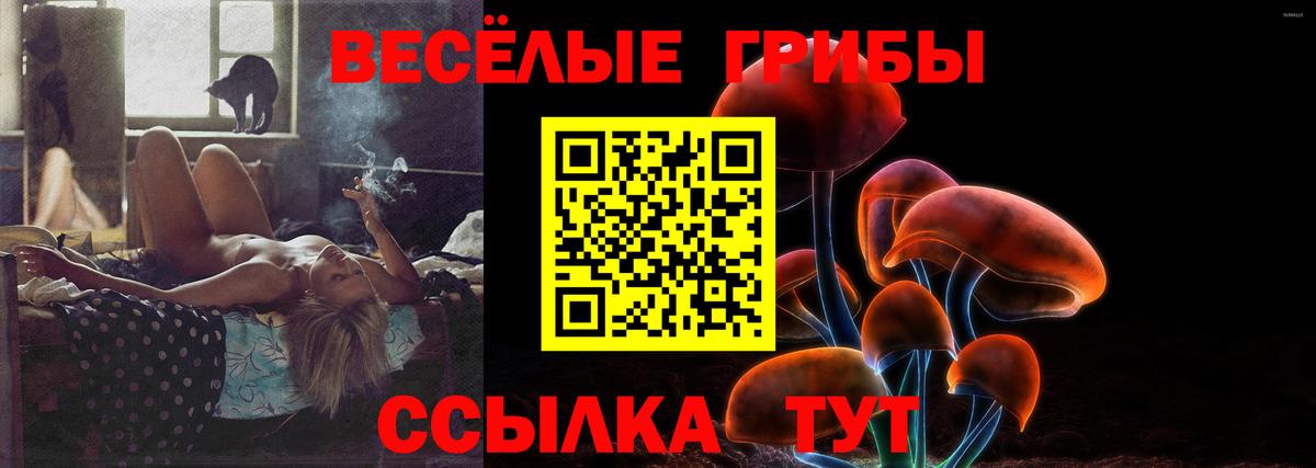Белая Калитва  Галлюциногенные грибы Psilocybe  Галлюциногенные грибы ЛСД  Вход с VPN 