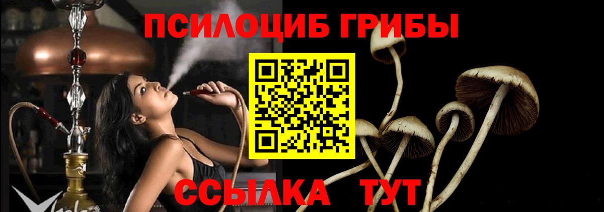 Галлюциногенные грибы MAGIC MUSHROOMS Белая Калитва
